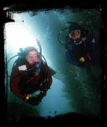 Deep Diving Courses